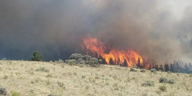 Man Arrested for starting Colorado wildfire.