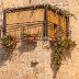 My Sukkah