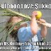 Sukkot Memes