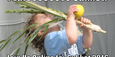 Sukkot Memes