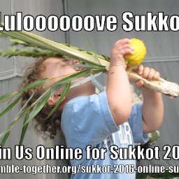 LOVE SUKKOT?