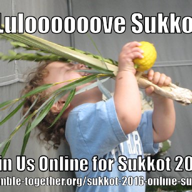 lulove_sukkot