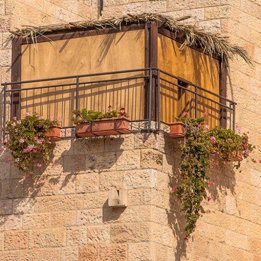 Festival of Sukkot