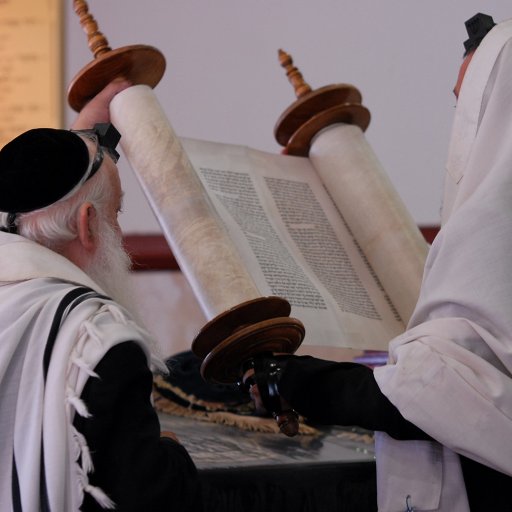 Orthodox Torah Studies