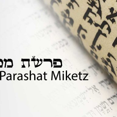 T10 - Miketz - Genesis 41:1 - 44:17