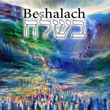 T16 - Beshalach - Exodus 13:17 - 17:16