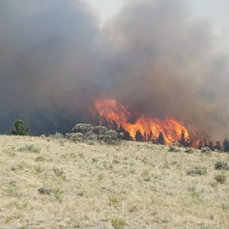 Man Arrested for starting Colorado wildfire.