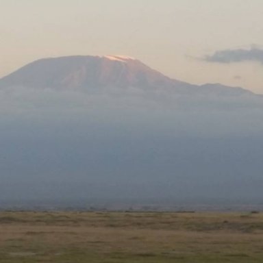 Kilimanjaro