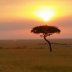 Maasai Mara