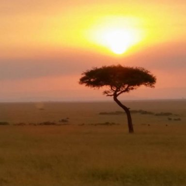 Maasai Mara