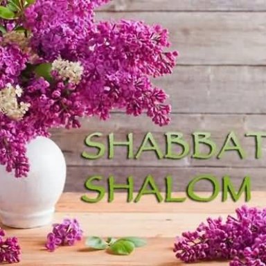Shabbat-Shalom-Flower-Pot
