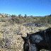 IMG_20171108_111325