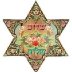 9d96cbc0245e5df9693932616ddf2591--jewish-history-jewish-art